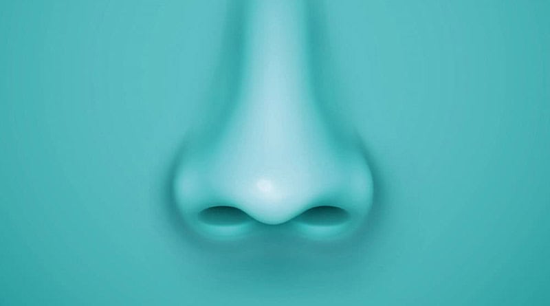 perfume
