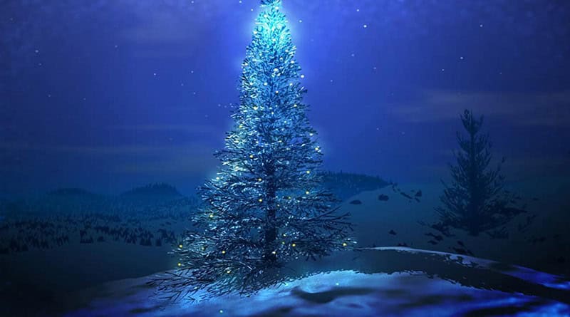 árvore de natal