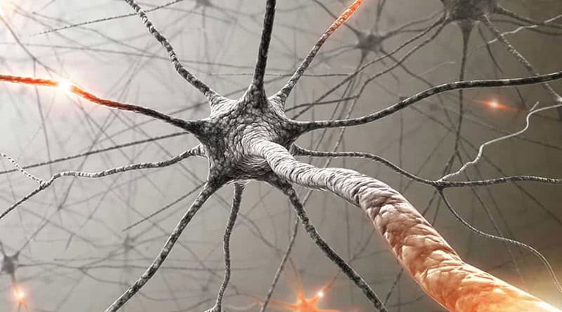 neurónios, Old Charges