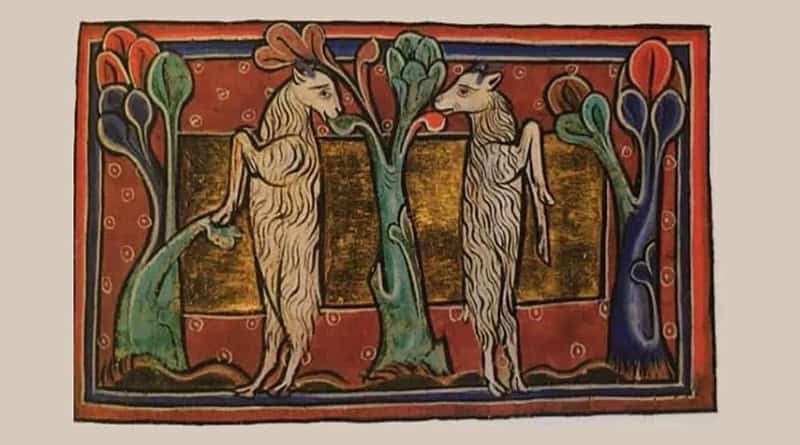 Cabrito no Bestiário Bodley 764 (Oxford, Bodleian Library, MS Bodley 764 In: BARBER, 1999, p. 82)
